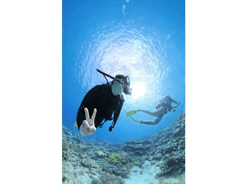 [Okinawa Kerama] Relax and enjoy luxurious fun diving in Kerama, the mecca of diving!の紹介画像
