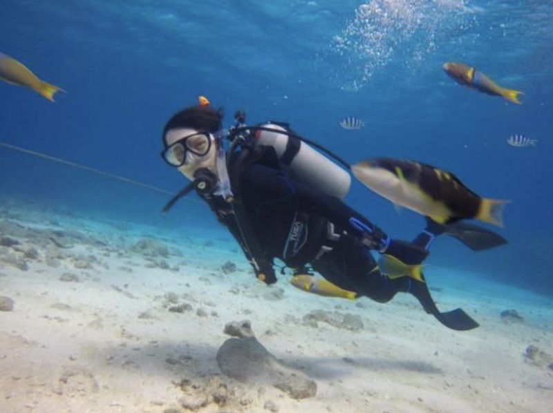 【오키나와 게라마】 다이빙의 성지 게라마에서 천천히 사치스러운 FUN 다이빙!の紹介画像