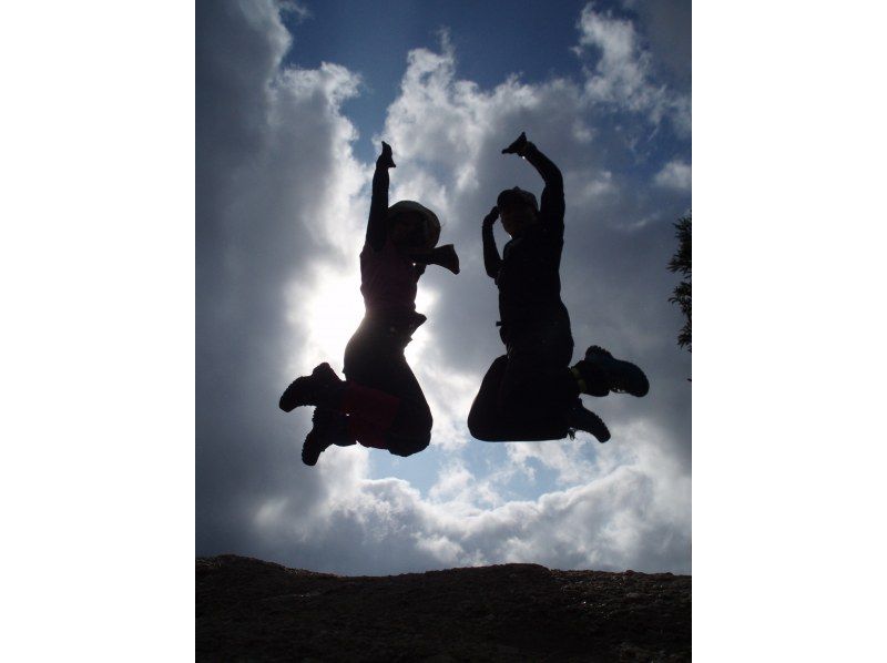 【屋久島・早朝１日】朝露に輝く白谷雲水峡1日ツアー｜貸切相談可・太鼓岩から望む絶景と神秘の森歩きの紹介画像