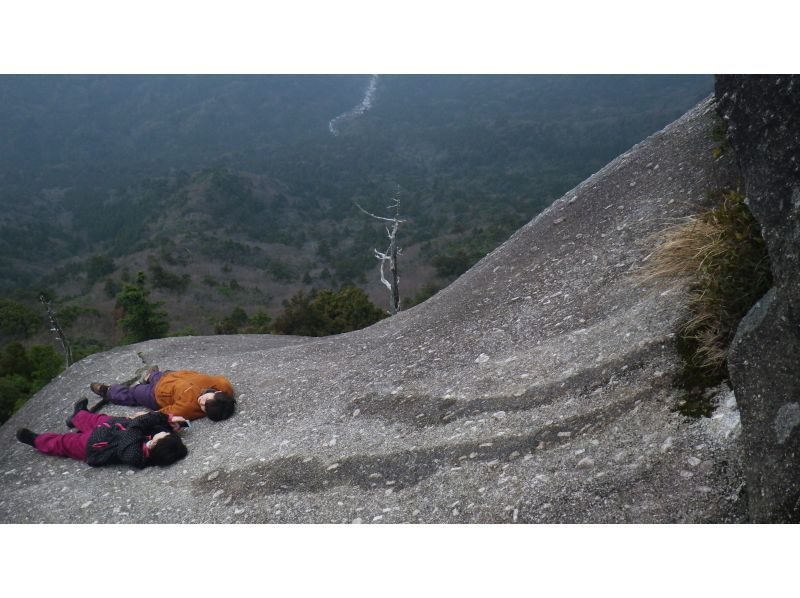 【屋久島・早朝１日】朝露に輝く白谷雲水峡1日ツアー｜貸切相談可・太鼓岩から望む絶景と神秘の森歩きの紹介画像