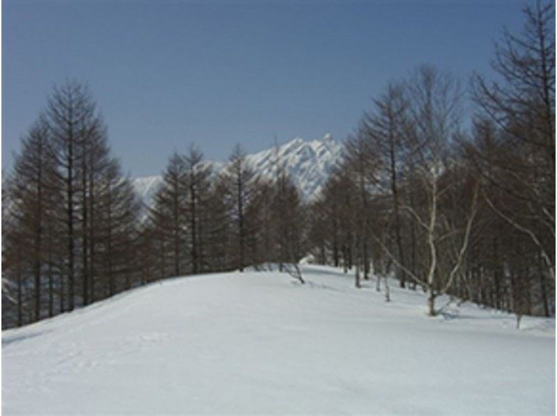 [Nagano, Omachi City Snowshoeing] English and Chinese guided tour. Enjoy the beauty of the Northern Alps foothills, only seen in winter! One-day course. Ages 8 and up.の紹介画像