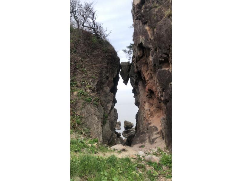 [Niigata/Sado] Cycling experience through the spectacular scenery of Tobishima day lilies in bloomの紹介画像