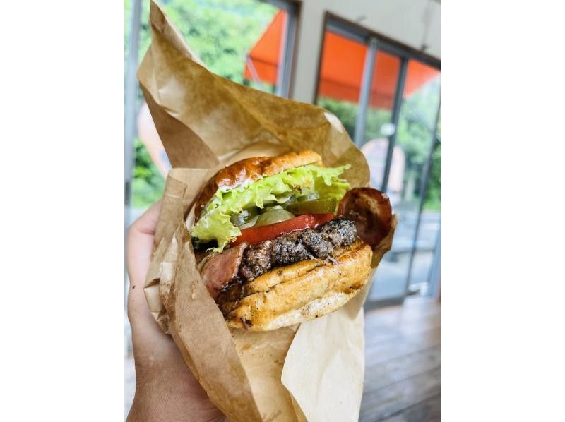 奄美大島・奄美群島 シュノーケリング 食事付き大人気Kazboバーガーのランチ＋ウミガメを探すシュノーケル＋奄美SUPパイオニアのスクールの紹介画像
