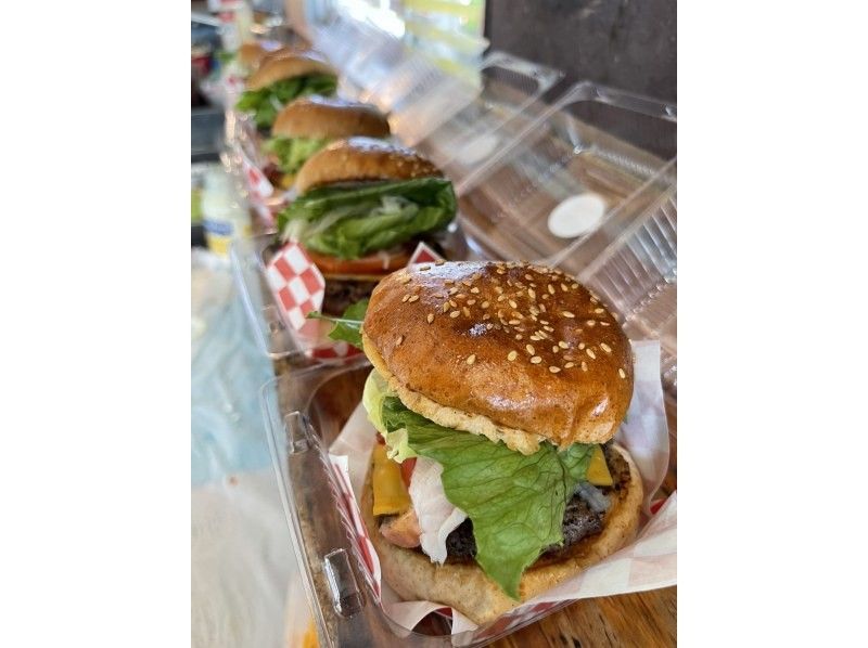 奄美大島・奄美群島 シュノーケリング 食事付き大人気Kazboバーガーのランチ＋ウミガメを探すシュノーケル＋奄美SUPパイオニアのスクールの紹介画像