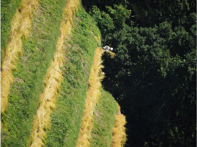 【新潟・佐渡】【島ごはんを楽しむ♪】佐渡産食材でおにぎり作り＆両津商店街散策の紹介画像