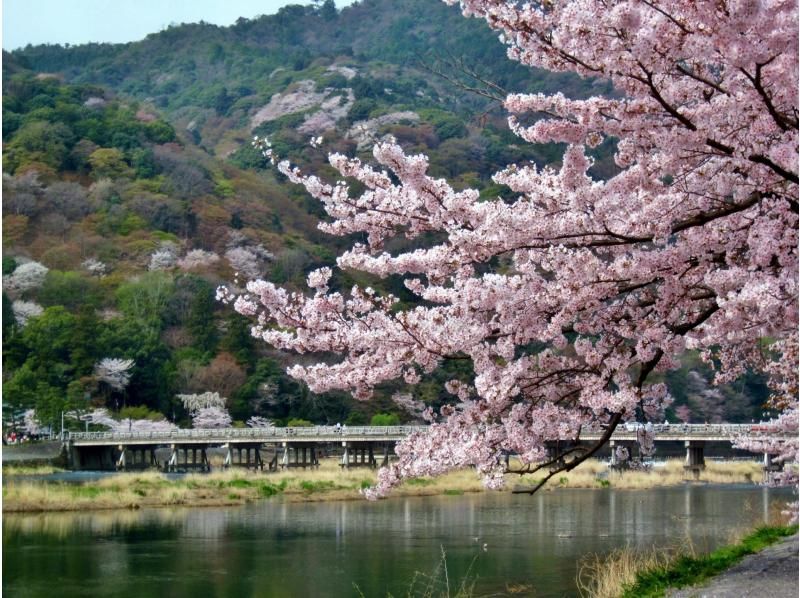 京都・嵐山駅から徒歩５分♪｜箸づくりワークショップ60分間＜ファミリー・カップル・お一人様でもおすすめ＞の紹介画像