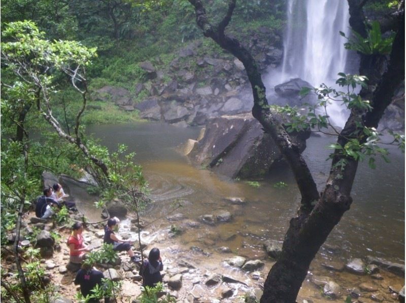 セール実施中【沖縄・西表島】滝つぼで泳げる！ピナイサーラの滝壺カヌー&トレッキングランチ付きツアー！の紹介画像