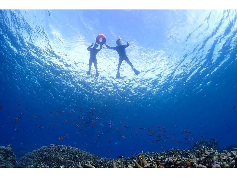 【沖縄・石垣】午前コース☆おひとり様OK！おてがる半日シュノーケリング☆レンタル器材込み・お写真無料プレゼント！のコピーの紹介画像