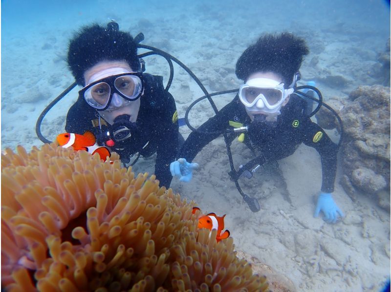 【クチコミ★5！石垣島】＼１組限定／初心者大歓迎！足がつく浅瀬からスタートの体験ダイビング｜女性インストラクター｜少人数制の紹介画像