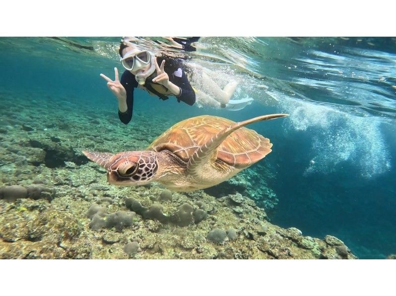 【学生大人気！石垣島】ウミガメ見るならここ｜ウミガメシュノーケル｜幻の石垣ブルー｜当日予約可能｜写真無料プレゼント！！！の紹介画像