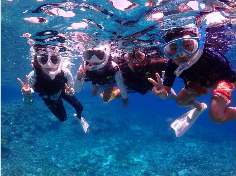 【오키나와 미야코지마】1일 10조 한정! 비경 야에 간세(야비지)로 반나절 체험 다이빙 & 스노클! 대인기 투어! <수중 사진, 픽업 무료 서비스! 〉の紹介画像