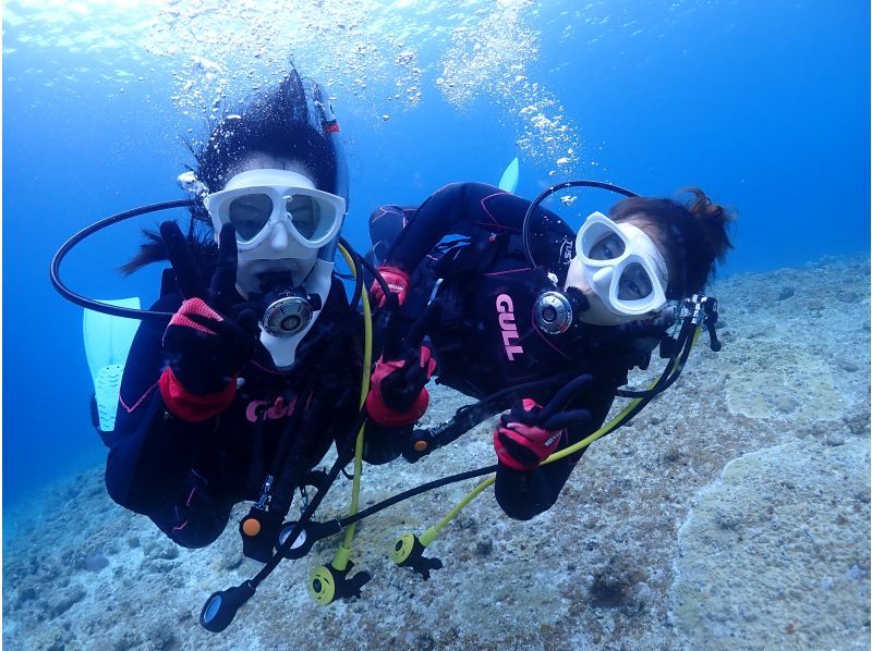 【오키나와 미야코지마】1일 10조 한정! 비경 야에 간세(야비지)로 반나절 체험 다이빙 & 스노클! 대인기 투어! <수중 사진, 픽업 무료 서비스! 〉の紹介画像