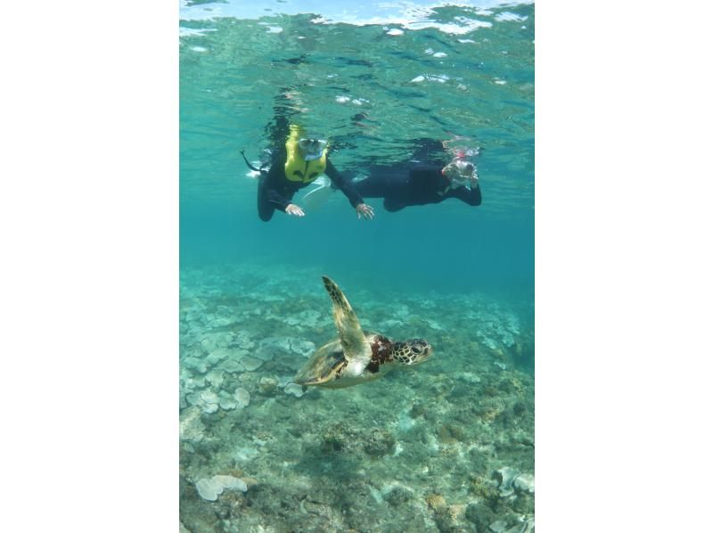 【屋久島・SUP＋シュノーケル】透明度抜群の海へ！リバーSUP＆シュノーケル1日コース。色鮮やかなサンゴや熱帯魚に包まれる感動をの紹介画像