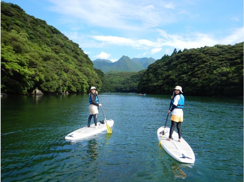 【屋久島・SUP＋シュノーケル】透明度抜群の海へ！リバーSUP＆シュノーケル1日コース。色鮮やかなサンゴや熱帯魚に包まれる感動をの紹介画像