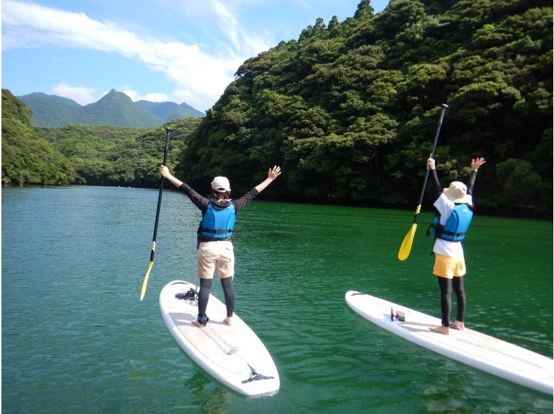 【屋久島・SUP＋シュノーケル】透明度抜群の海へ！リバーSUP＆シュノーケル1日コース。色鮮やかなサンゴや熱帯魚に包まれる感動をの紹介画像