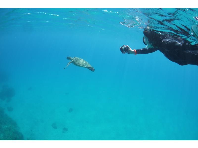 【屋久島・SUP＋シュノーケル】透明度抜群の海へ！リバーSUP＆シュノーケル1日コース。色鮮やかなサンゴや熱帯魚に包まれる感動をの紹介画像