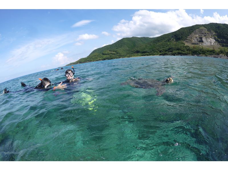 【屋久島・SUP＋シュノーケル】透明度抜群の海へ！リバーSUP＆シュノーケル1日コース。色鮮やかなサンゴや熱帯魚に包まれる感動をの紹介画像