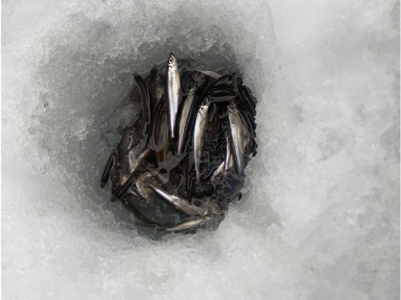 【北海道・道東】釣って食べて雪で遊ぶ！本格ワカサギ釣り&times;かまくら天ぷら&times;スノーバナナ 1日満喫プラン＜送迎付き／今季限定割引＞の紹介画像
