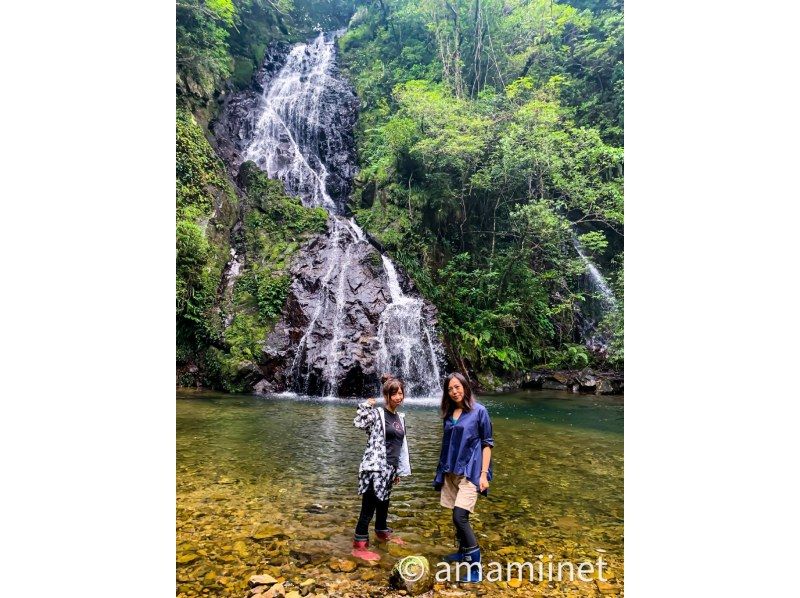 「奄美大島」　知られざる秘境　奄美の神秘　ジャングル探検と命の水・パワースポットの紹介画像