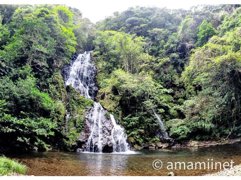 「奄美大島」　知られざる秘境　奄美の神秘　ジャングル探検と命の水・パワースポットの紹介画像