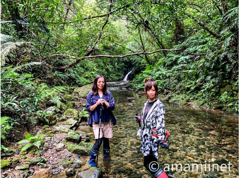 「奄美大島」　知られざる秘境　奄美の神秘　ジャングル探検と命の水・パワースポットの紹介画像