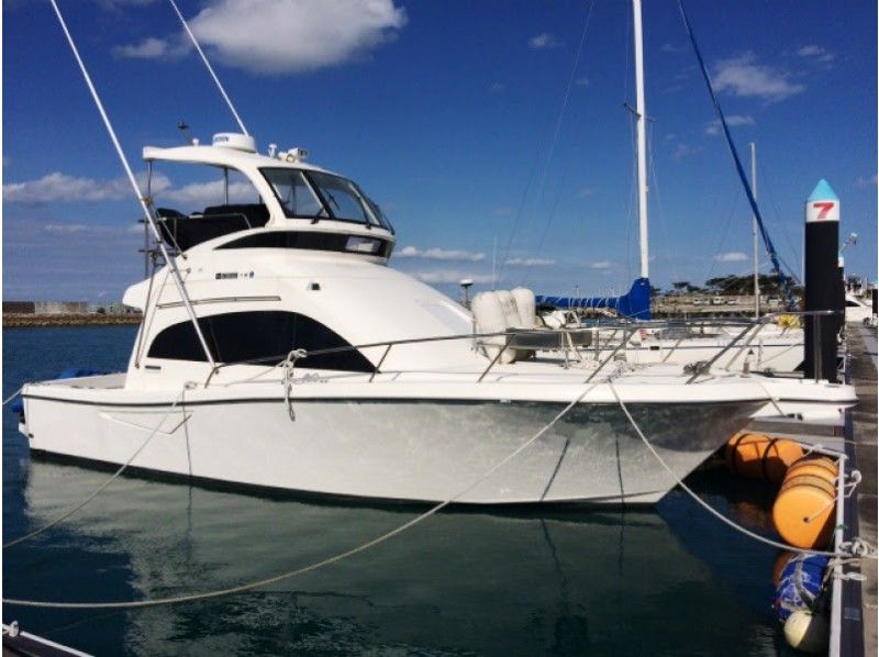 【 Okinawa · Ginowan Marina Arrival】 In winter only! Comfortable Whale watching going by boat charterの紹介画像