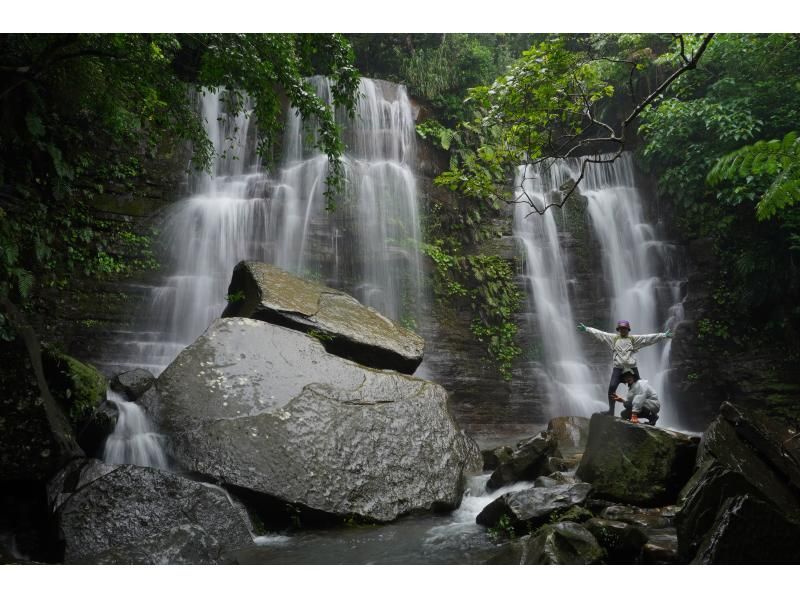 [Okinawa, Iriomote Island] A half-day but intense experience! Jungle trekking tour [Half-day trekking]の紹介画像