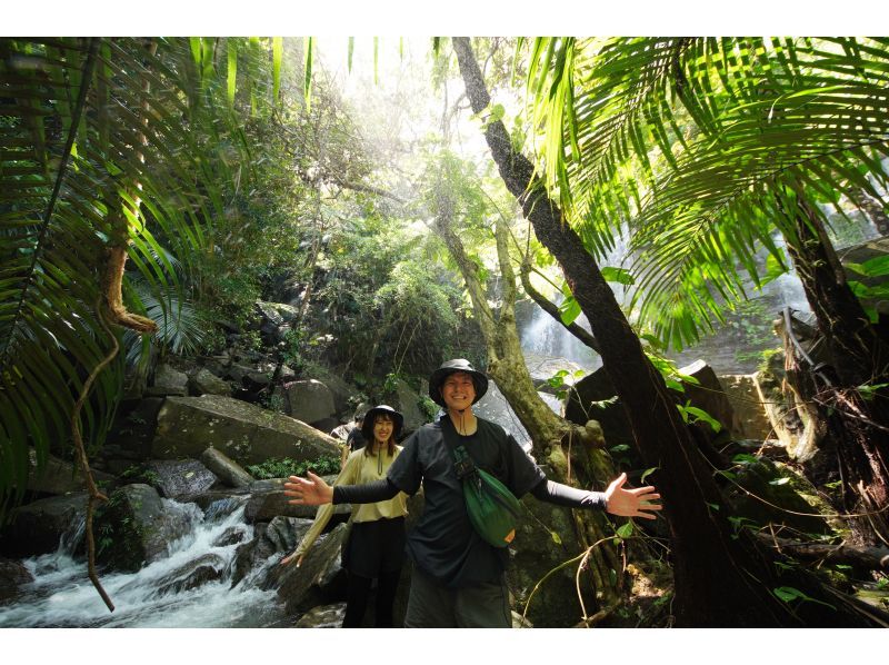 [Okinawa, Iriomote Island] A half-day but intense experience! Jungle trekking tour [Half-day trekking]の紹介画像