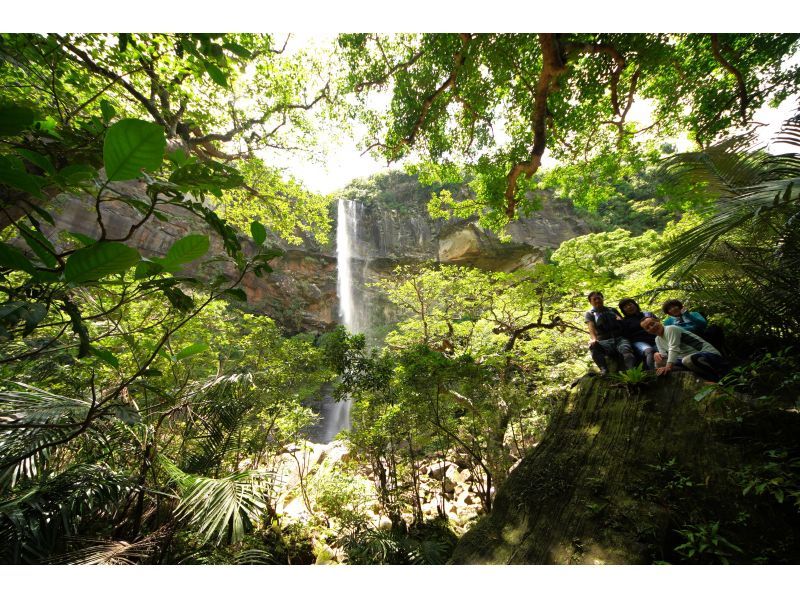 [Okinawa, Iriomote Island] Pinaisara Falls 1-day tour [Kayaking and trekking]の紹介画像