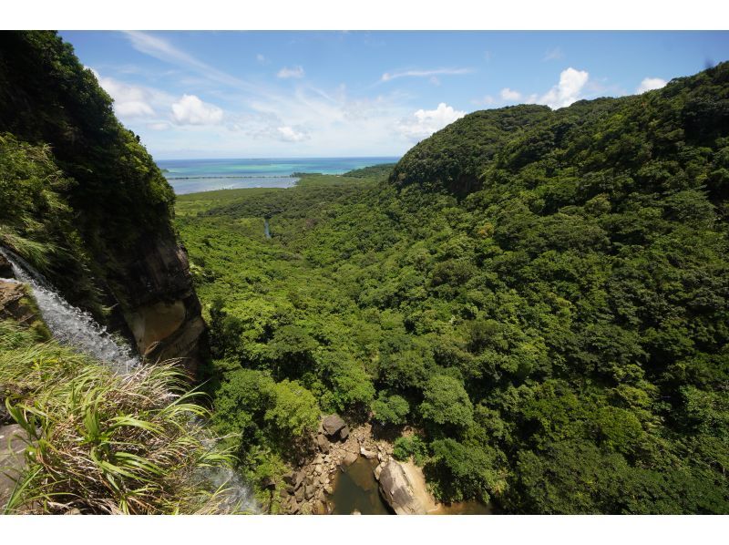 [Okinawa, Iriomote Island] Pinaisara Falls 1-day tour [Kayaking and trekking]の紹介画像