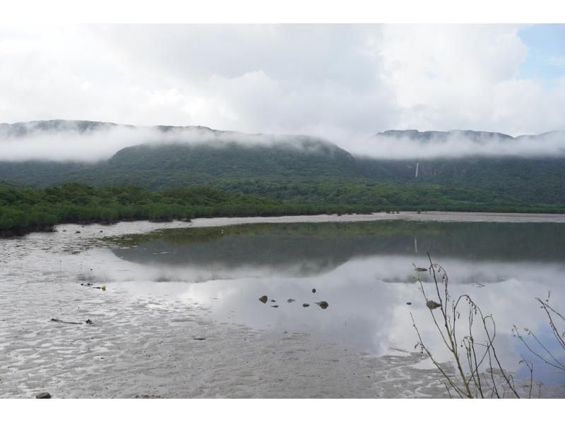 [Okinawa, Iriomote Island] Pinaisara Falls 1-day tour [Kayaking and trekking]の紹介画像