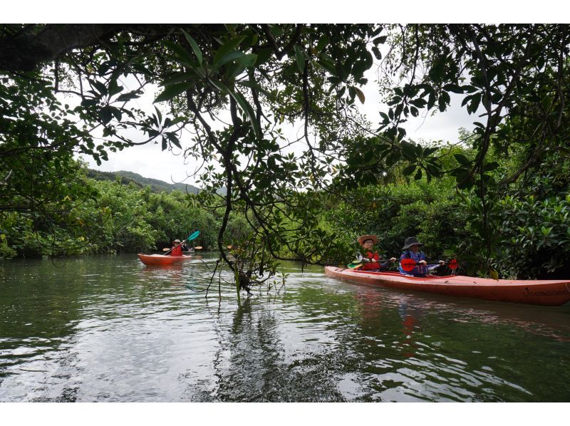 [Okinawa, Iriomote Island] Pinaisara Falls 1-day tour [Kayaking and trekking]の紹介画像