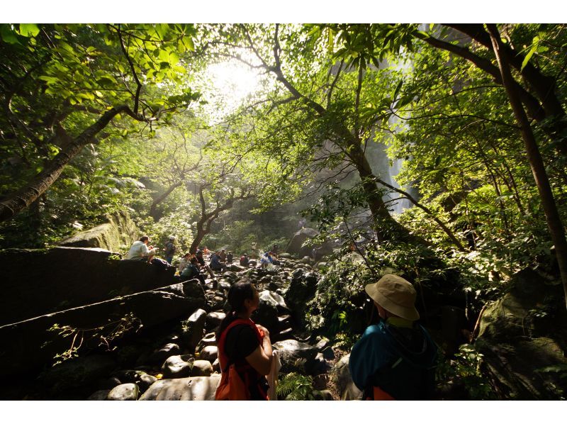 [Okinawa, Iriomote Island] Pinaisara Falls 1-day tour [Kayaking and trekking]の紹介画像