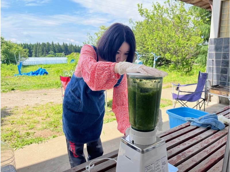 [Fukushima, Aizu Bandai Town] Indigo dyeing experience - Experience the thrill of dyeing your own harvested indigo into a refreshing blue! Recommended for families, couples, and women!の紹介画像