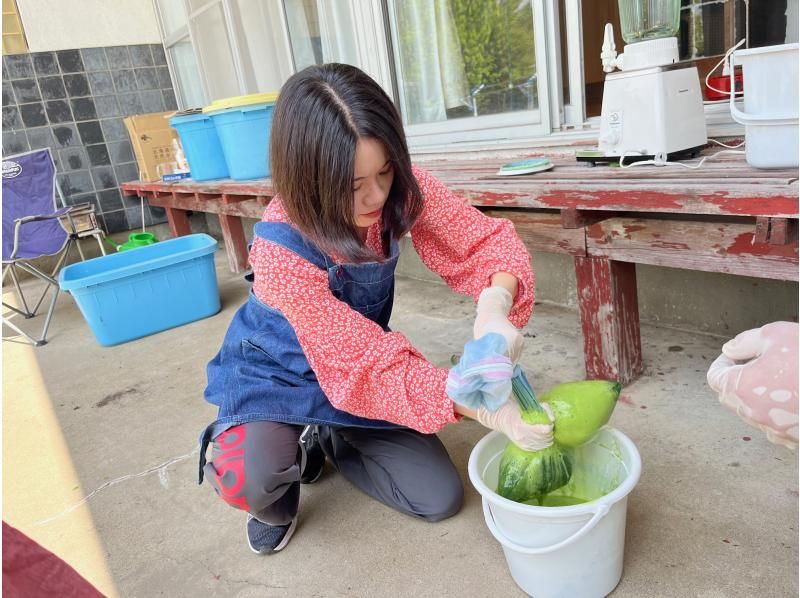 [Fukushima, Aizu Bandai Town] Indigo dyeing experience - Experience the thrill of dyeing your own harvested indigo into a refreshing blue! Recommended for families, couples, and women!の紹介画像