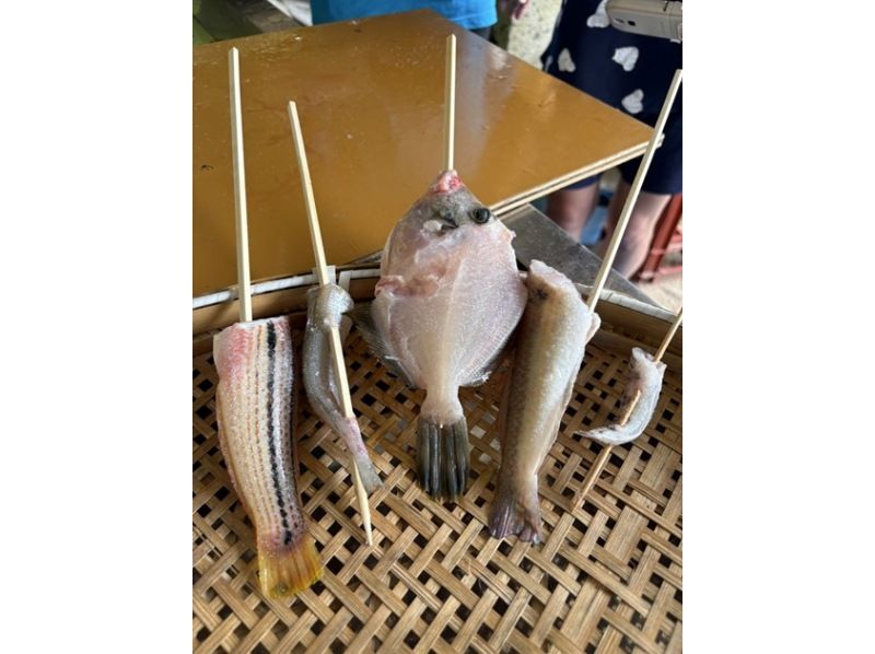 【広島・江田島】瀬戸内海最大の無人島でデイキャンプ〜大自然で遊ぼう！釣り！バーベキュー！の紹介画像