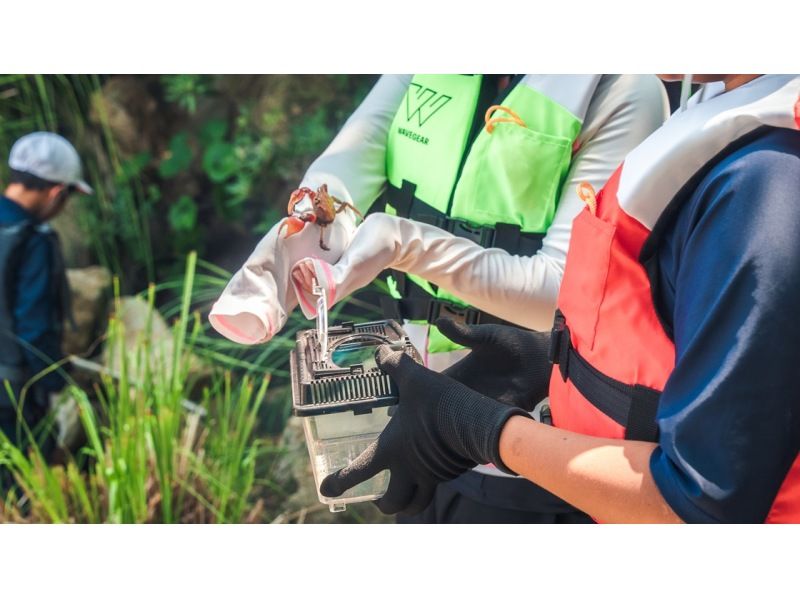 【広島・江田島】瀬戸内海最大の無人島でデイキャンプ〜大自然で遊ぼう！釣り！バーベキュー！の紹介画像