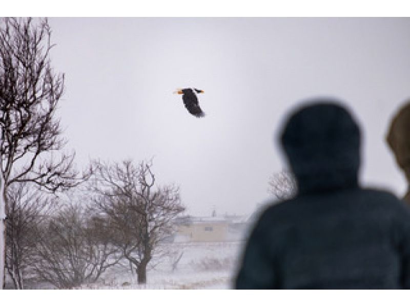 [ฮอกไกโด, แม่น้ำชาริ] ถ้ามาเที่ยวฮอกไกโด อย่าลืมออกไปเล่นข้างนอก! สำรวจแม่น้ำชาริด้วยรองเท้าลุยหิมะและค้นพบสัตว์ป่า!の紹介画像