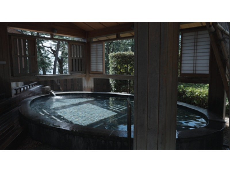 [Shizuoka/Minamiizu] Visit the best season for hammerhead sharks! Minamiizu Town Scuba Diving Tourの紹介画像