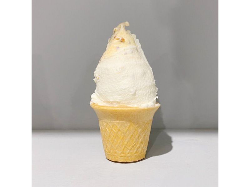 【秋田県･横手市】ガイドと行く〜横手産食材を使用した絶品ジェラートを味わいながら横手の四季を感じる街歩き〜の紹介画像