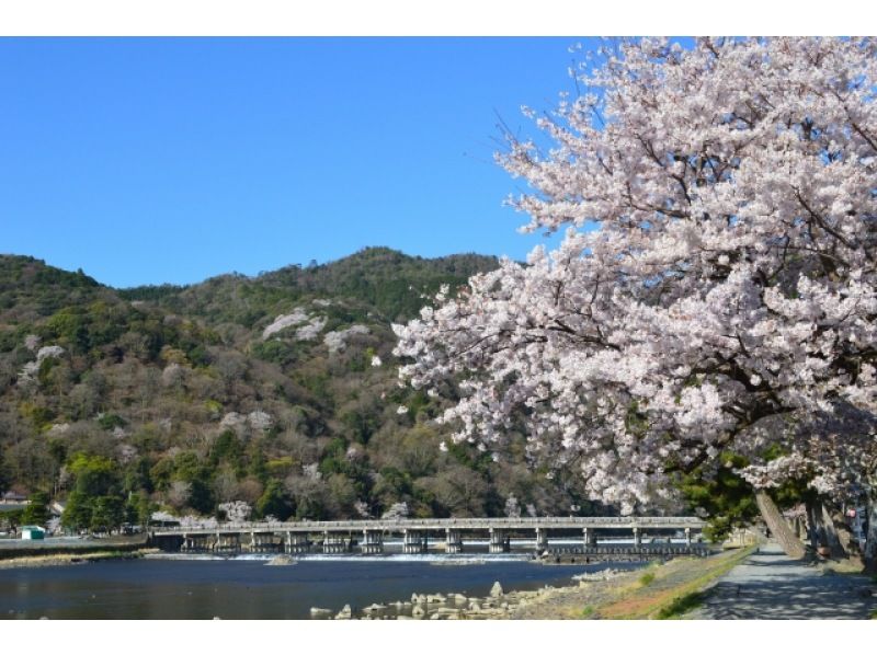 【京都駅発着】桜の名所「平野神社」と「天龍寺」＆嵐山で屋形船遊覧！昼食は丹波牛のすき鍋膳をご賞味！の紹介画像