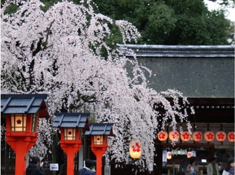 【京都駅発着】桜の名所「平野神社」と「天龍寺」＆嵐山で屋形船遊覧！昼食は丹波牛のすき鍋膳をご賞味！の紹介画像