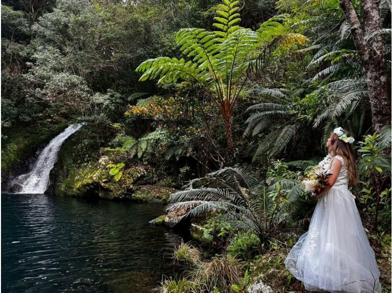 新企画！マングローブカヌーでプロポーズ大作戦！奄美大島で人生が変わるその瞬間のお手伝い！ドローン撮影無料、撮影データプレゼント※2名様料金の紹介画像
