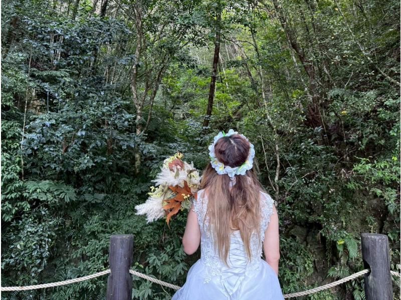 新企画！マングローブカヌーでプロポーズ大作戦！奄美大島で人生が変わるその瞬間のお手伝い！ドローン撮影無料、撮影データプレゼント※2名様料金の紹介画像