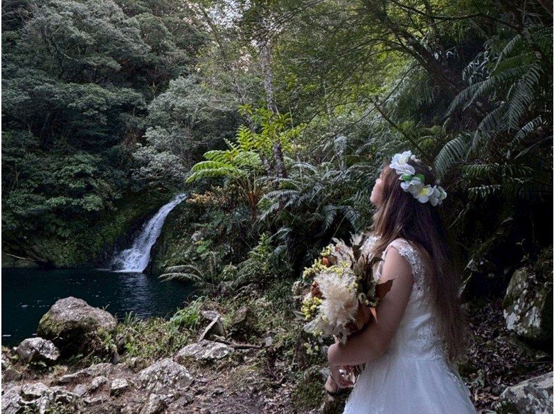 新企画！マングローブカヌーでプロポーズ大作戦！奄美大島で人生が変わるその瞬間のお手伝い！ドローン撮影無料、撮影データプレゼント※2名様料金の紹介画像