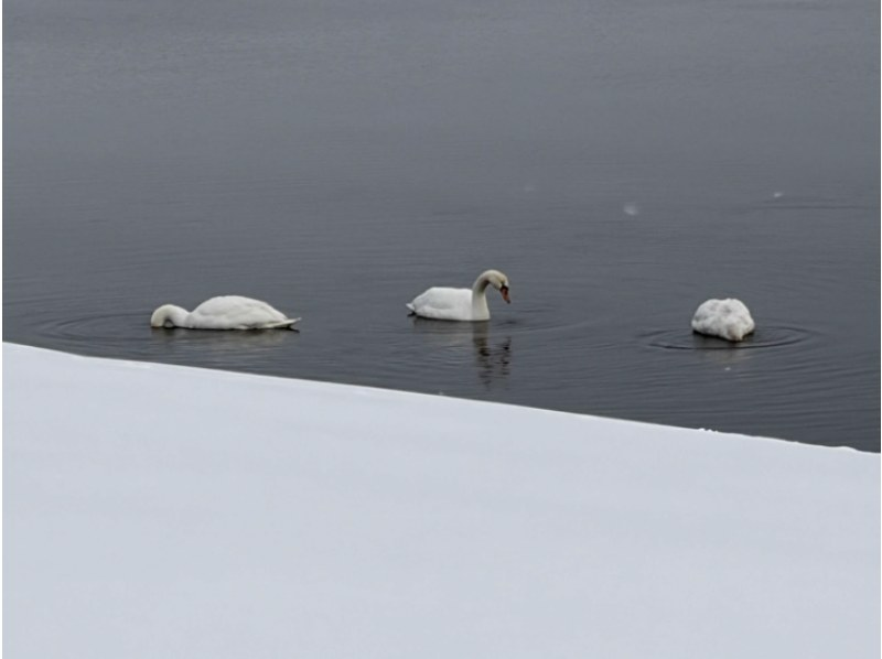 【青森・下北／三沢】東北町小川原湖畔でガイド付きスノーハイク体験！（ガニ汁テイクアウトチケット・温泉入浴券付き）の紹介画像