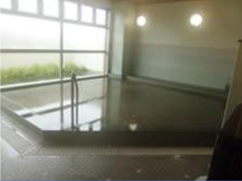 【青森・下北／三沢】東北町小川原湖畔でガイド付きスノーハイク体験！（ガニ汁テイクアウトチケット・温泉入浴券付き）の紹介画像