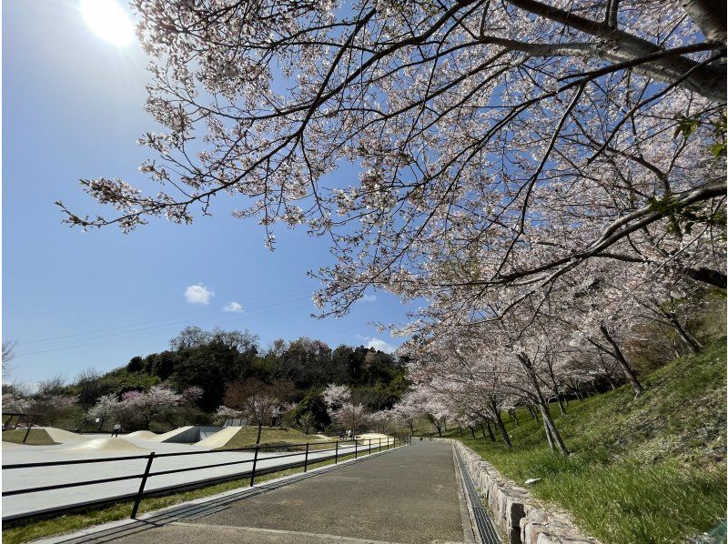 【福島・いわき】【ガイドと歩く「いわきあるき」のおすすめプラン】いわきFC戦スタジアムまで桜巡りの紹介画像