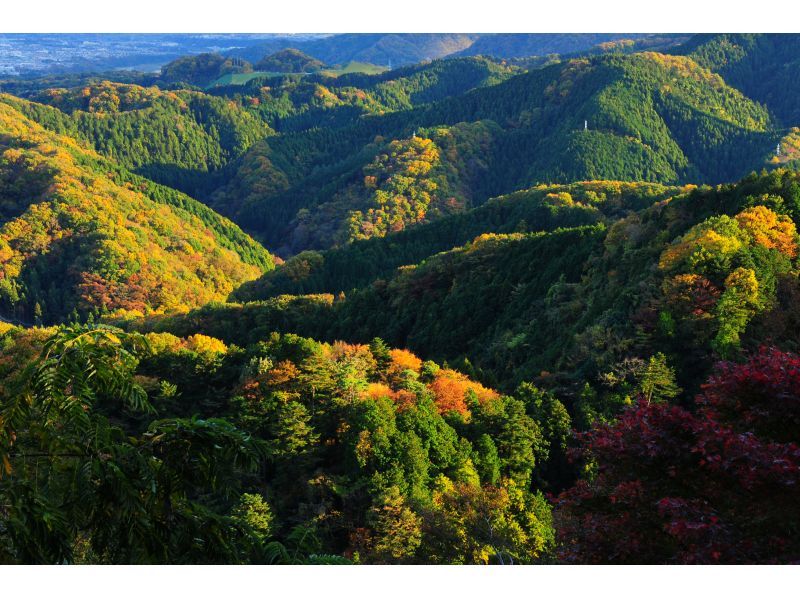 【東京・高尾山】薬王院&times;うかい鳥山特別企画｜僧侶同行参拝・護摩焚きと囲炉裏料理を味わう特別体験の紹介画像