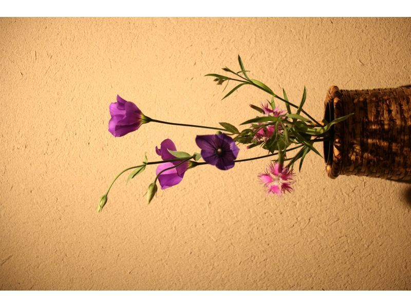 【京都・二条/今出川】本格的な「茶道・書道」体験 ＋ 厳選したヴィンテージ羽織の着衣体験セット（英語対応可能）の紹介画像